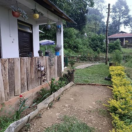 Little Cub Homestay Kalimpong Eksteriør bilde